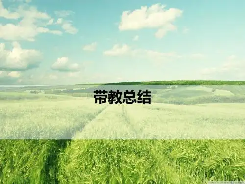 带教总结ppt课件