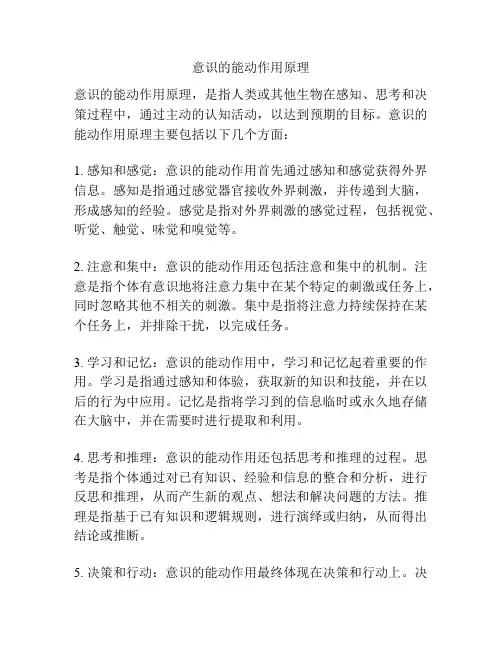 意识的能动作用原理