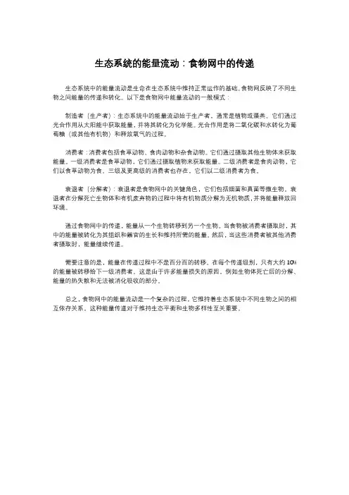 生态系统的能量流动：食物网中的传递