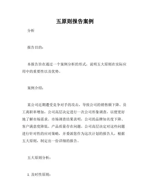五原则报告案例