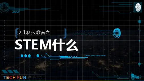 STEM是什么？