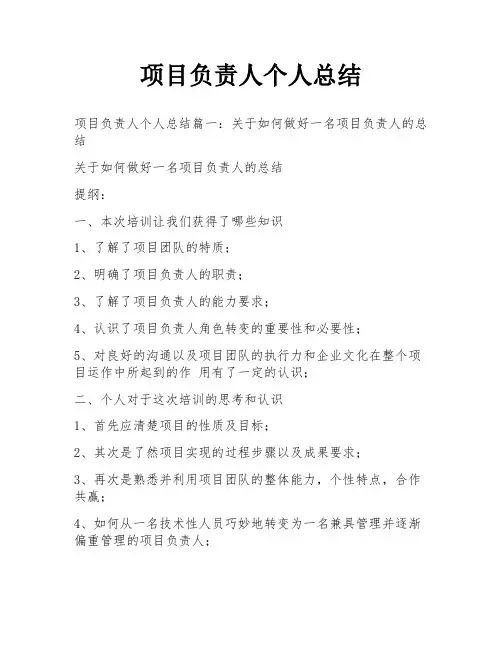 项目负责人个人总结