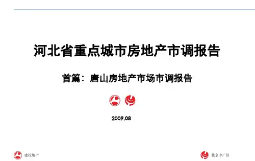 唐山市房地产项目市调报告2009.8