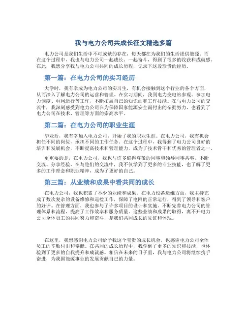 我与电力公司共成长征文精选多篇