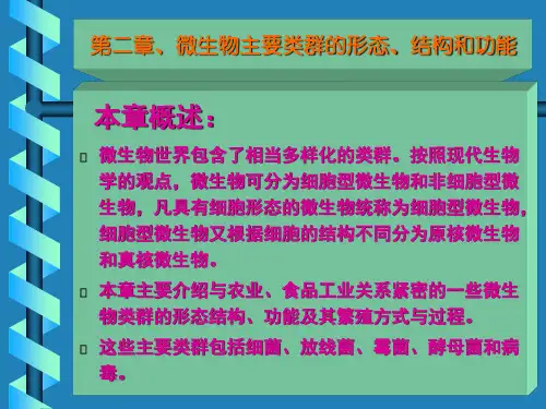 第2章 微生物主要类群的形态、结构和功能