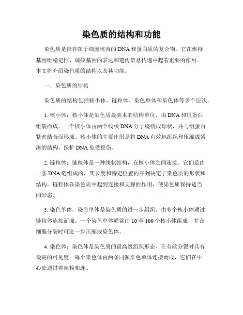 染色质的结构和功能