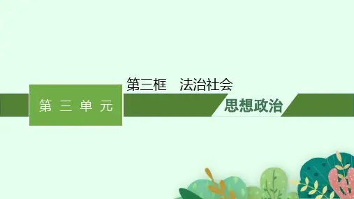 高中思想政治必修第三册精品课件 第三单元 全面依法治国 第八课 第三框 法治社会