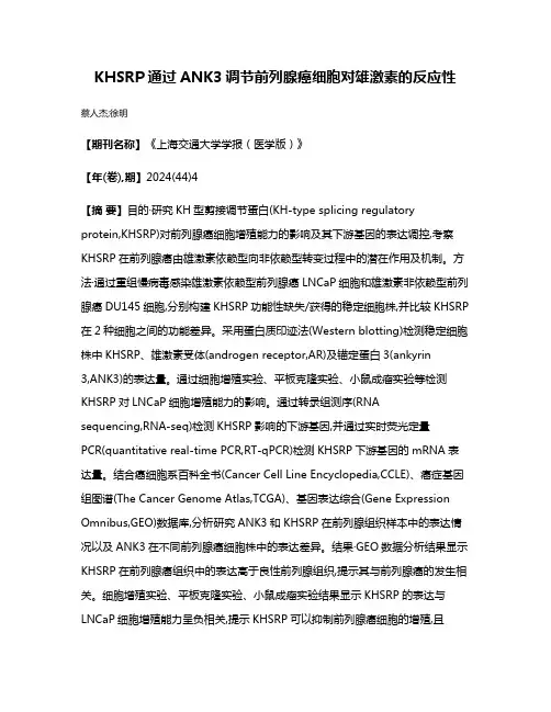 KHSRP通过ANK3调节前列腺癌细胞对雄激素的反应性