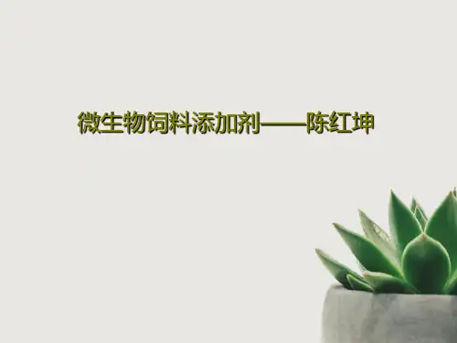 微生物饲料添加剂——陈红坤50页PPT