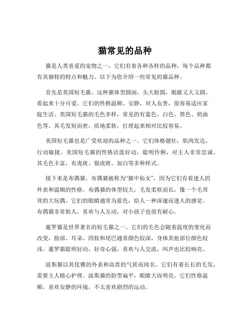 猫常见的品种
