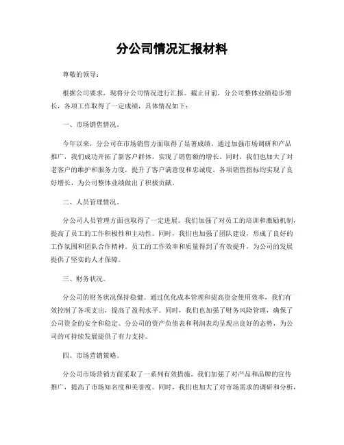 分公司情况汇报材料