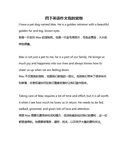 四下英语作文我的宠物