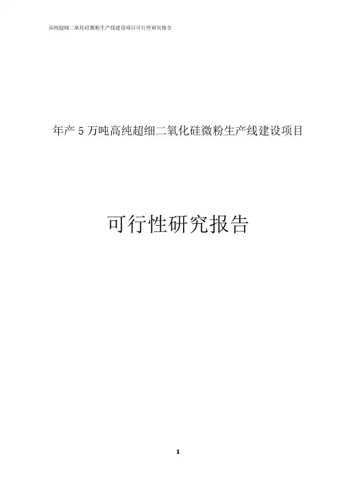 高纯度超细纳米二氧化硅微粉建设项目可行性研究报告