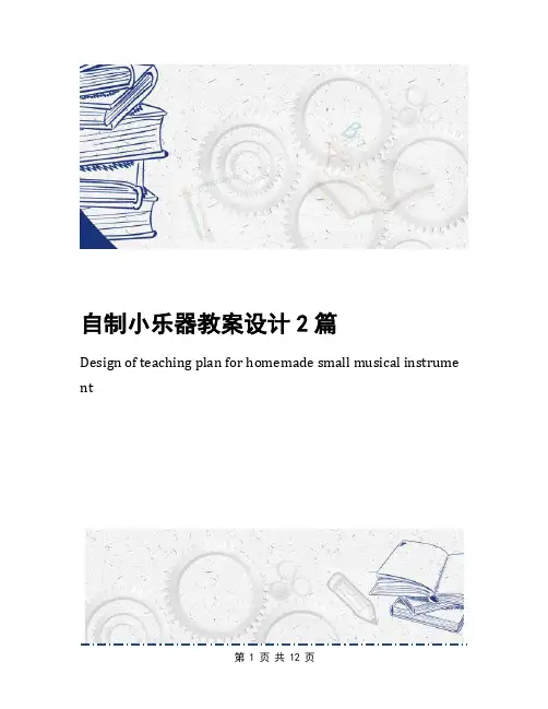 自制小乐器教案设计2篇