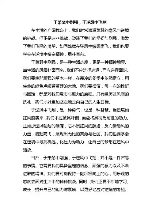 于萧瑟中刚强,于逆风中飞翔