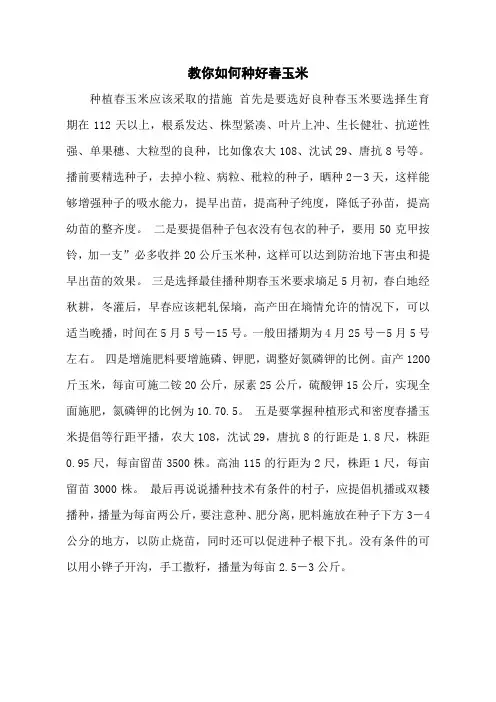 教你如何种好春玉米