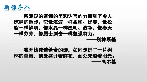 13.2《致大海》课件-高二语文(统编版选择性必修中册)