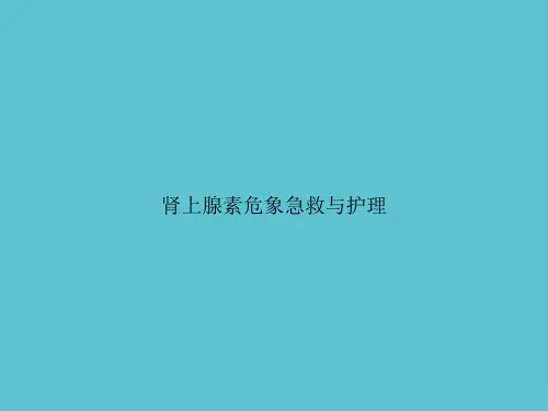【实用】肾上腺素危象急救与护理ppt资料