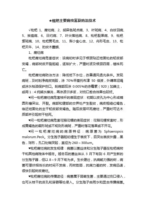★枇杷主要病虫害及防治技术