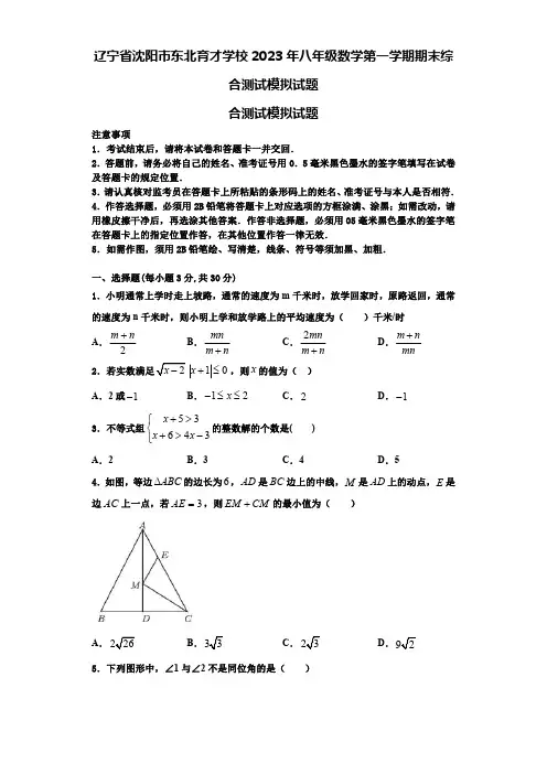 辽宁省沈阳市东北育才学校2023年八年级数学第一学期期末综合测试模拟试题【含解析】