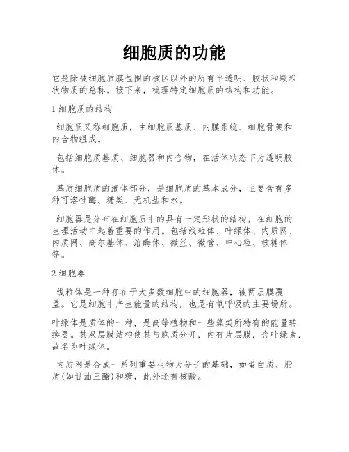 细胞质的功能