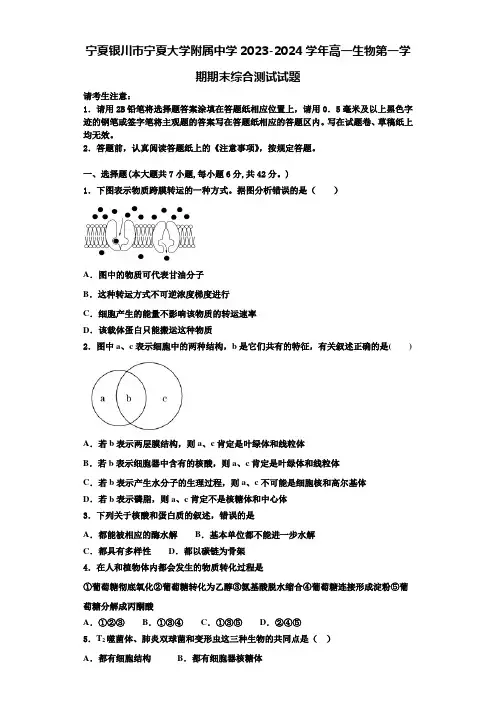 宁夏银川市宁夏大学附属中学2023-2024学年高一生物第一学期期末综合测试试题含解析