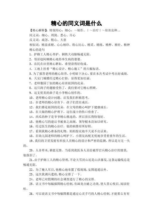 精心的同义词是什么