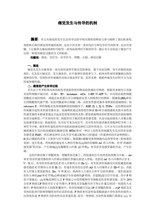 痛觉发生与传导的机制