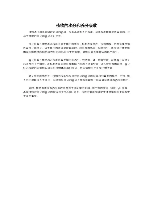 植物的水分和养分吸收