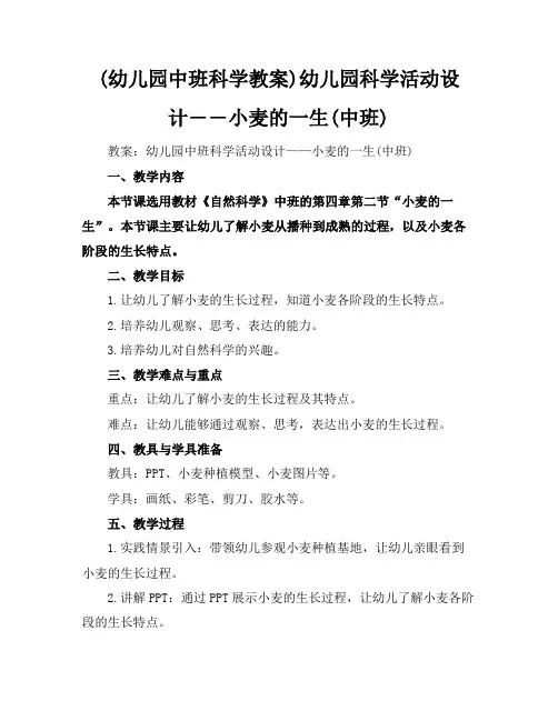 (幼儿园中班科学教案)幼儿园科学活动设计――小麦的一生(中班)