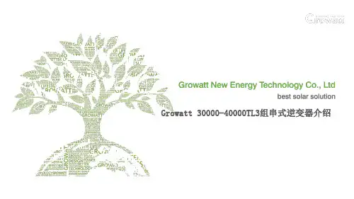 Growatt 30-40KTL3组串式逆变器介绍