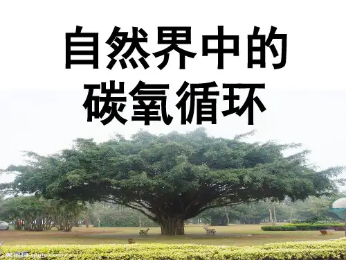 自然界中的碳氧循环PPT课件