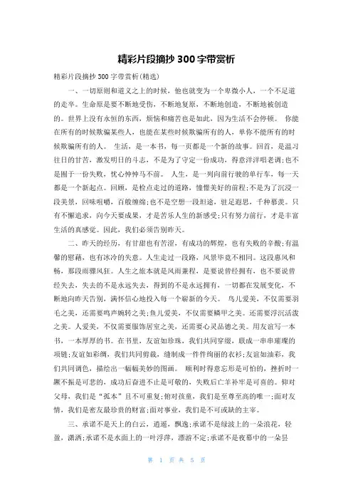 精彩片段摘抄300字带赏析