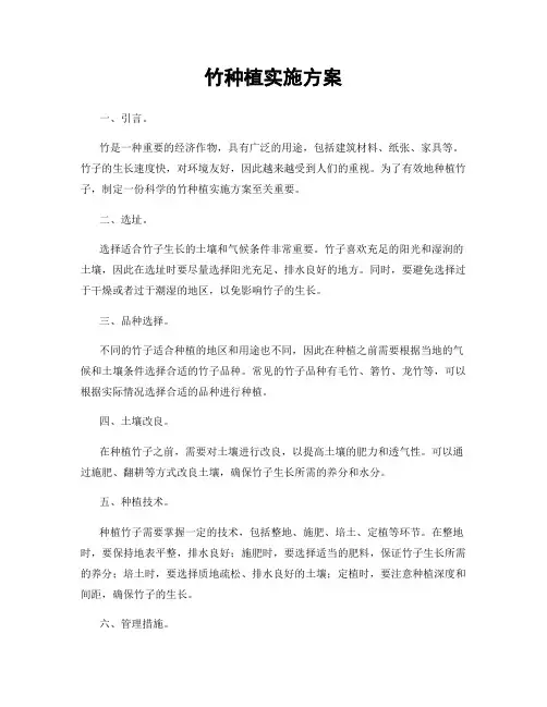竹种植实施方案