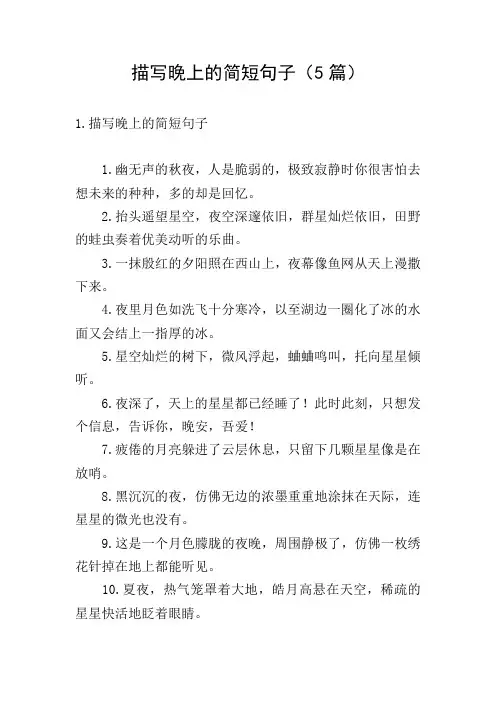 描写晚上的简短句子(5篇)