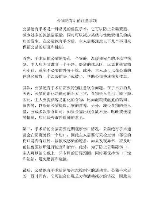 公猫绝育后的注意事项