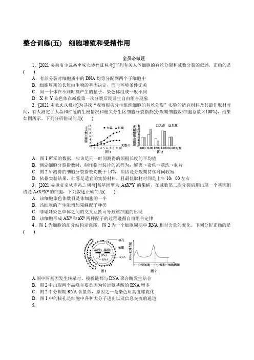 2022年高考生物二轮复习整合训练(五)细胞增殖和受精作用
