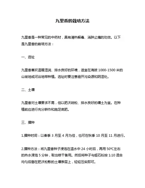 九里香的栽培方法