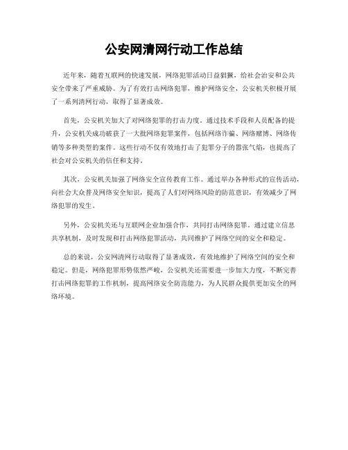 公安网清网行动工作总结