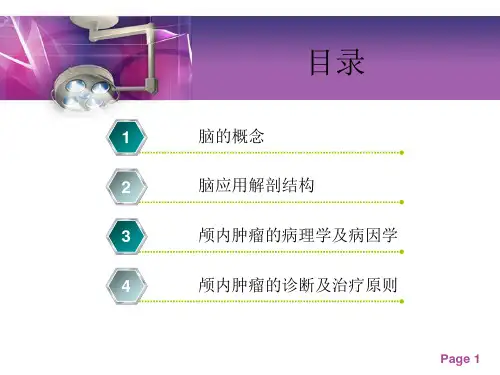 颅内肿瘤概述ppt课件.pptx