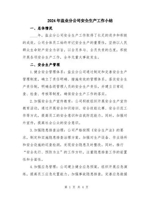 2024年盐业分公司安全生产工作小结