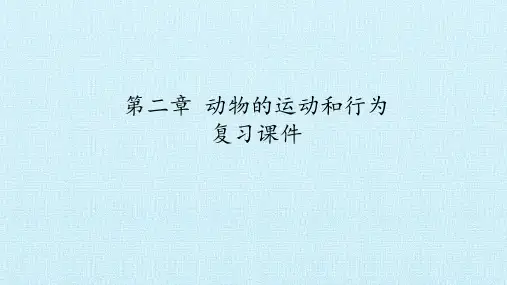 鲁科版(五四学制)八年级生物上册：第二章 动物的运动和行为  复习课件