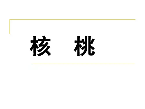 07核桃