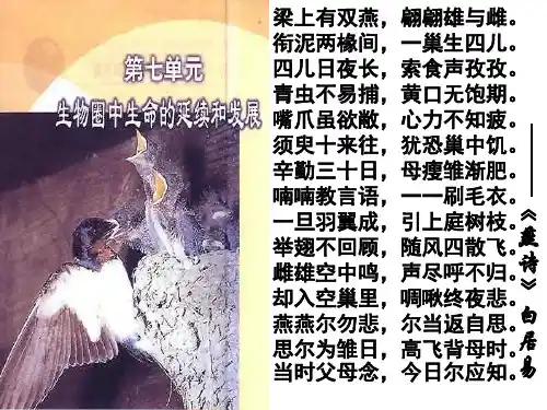 八年级生物下第一节植物的生殖课件(精)