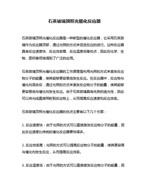 石英玻璃顶照光催化反应器