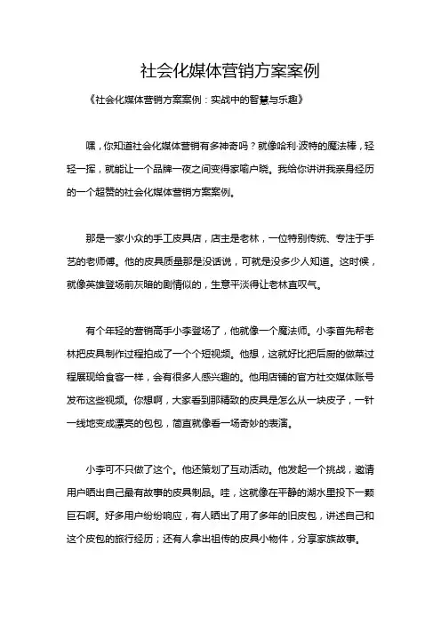 社会化媒体营销方案案例