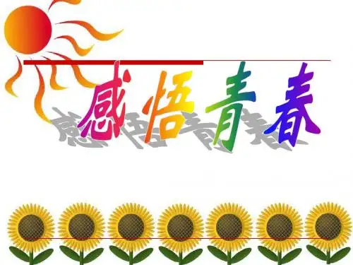 感悟青春ppt课件