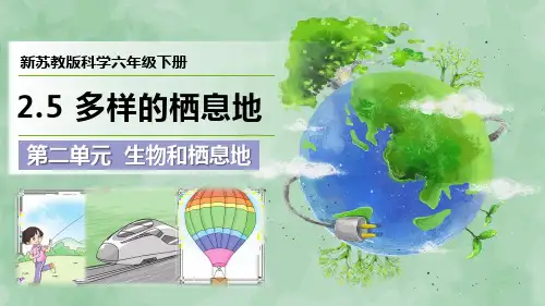 新苏教版科学六年级下册第二单元 生物和栖息地《多样的栖息地》优质课件