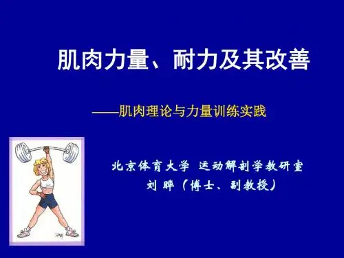 解剖.肌肉力量和耐力
