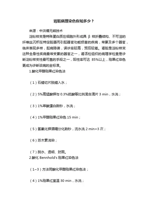 肾脏病理染色你知多少？